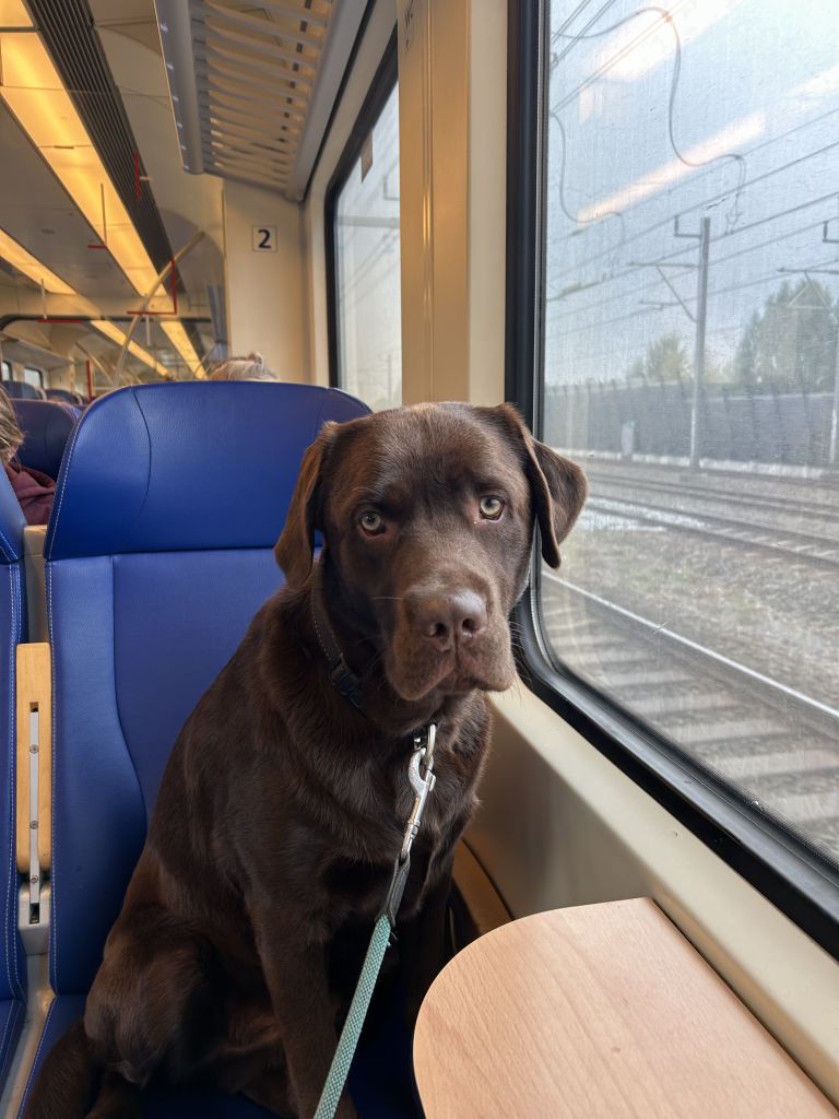 Balou