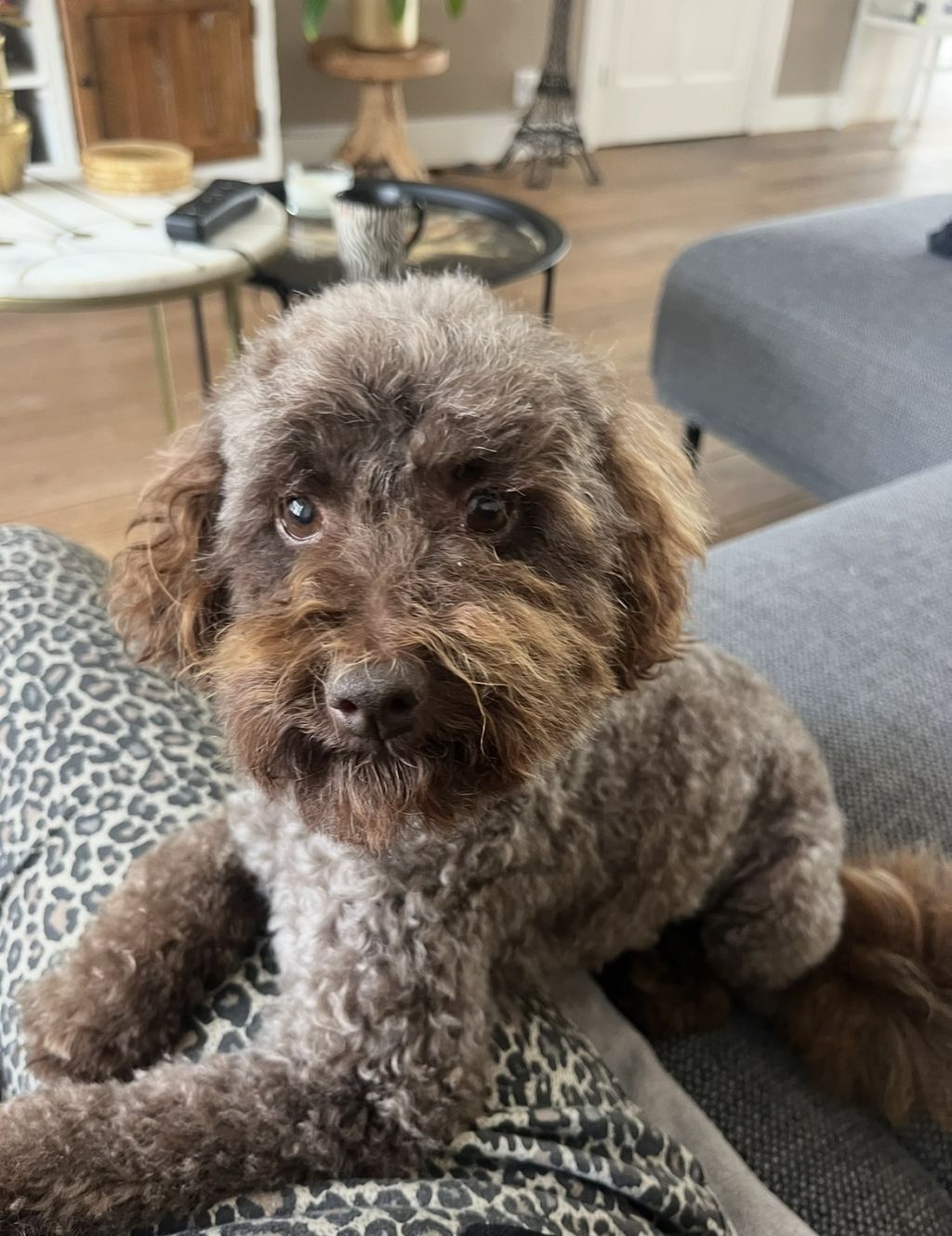 Billy