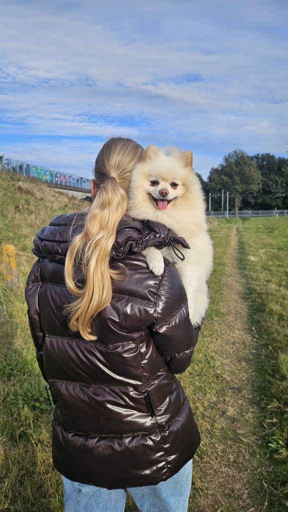 Teddy