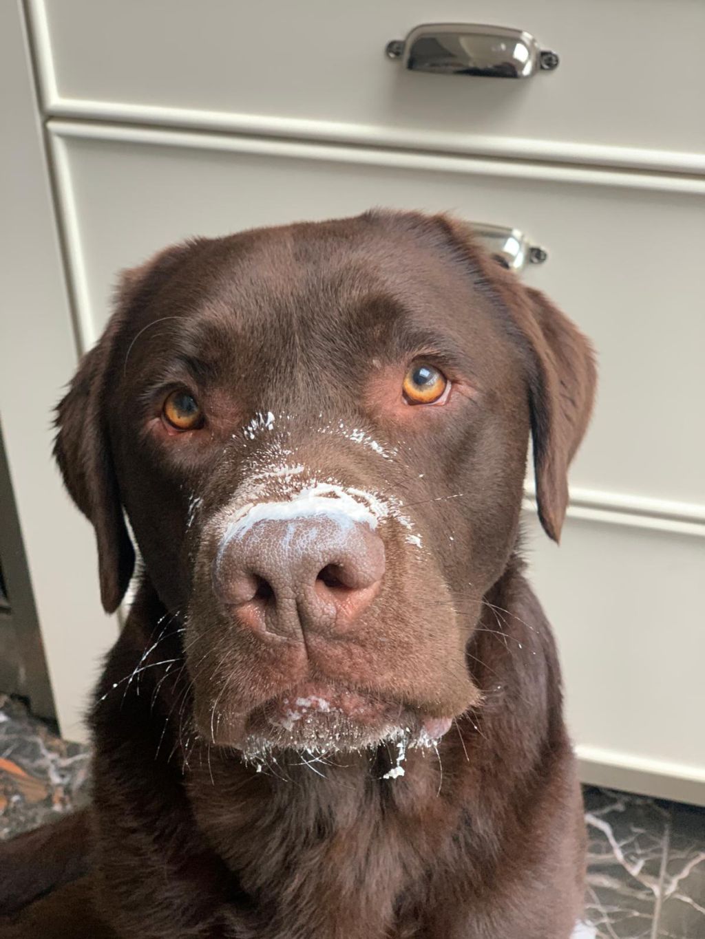 Dobber