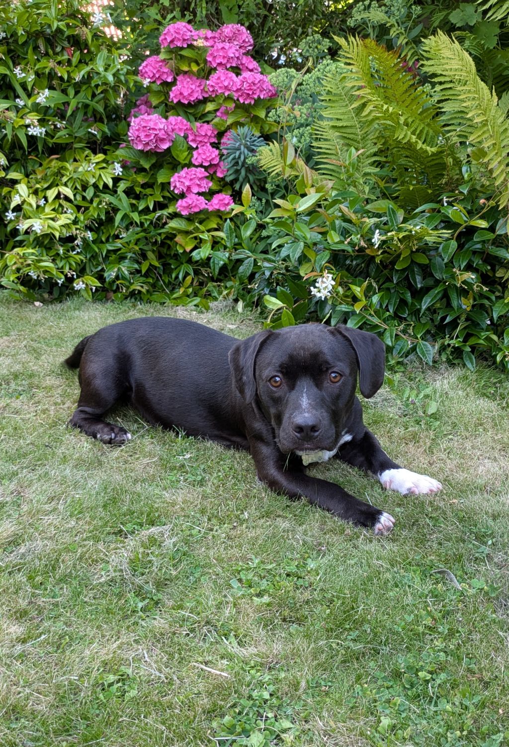 Sam