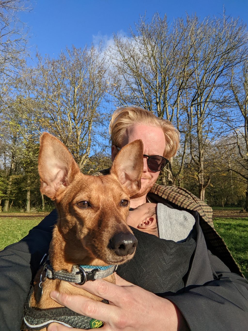 Hugo