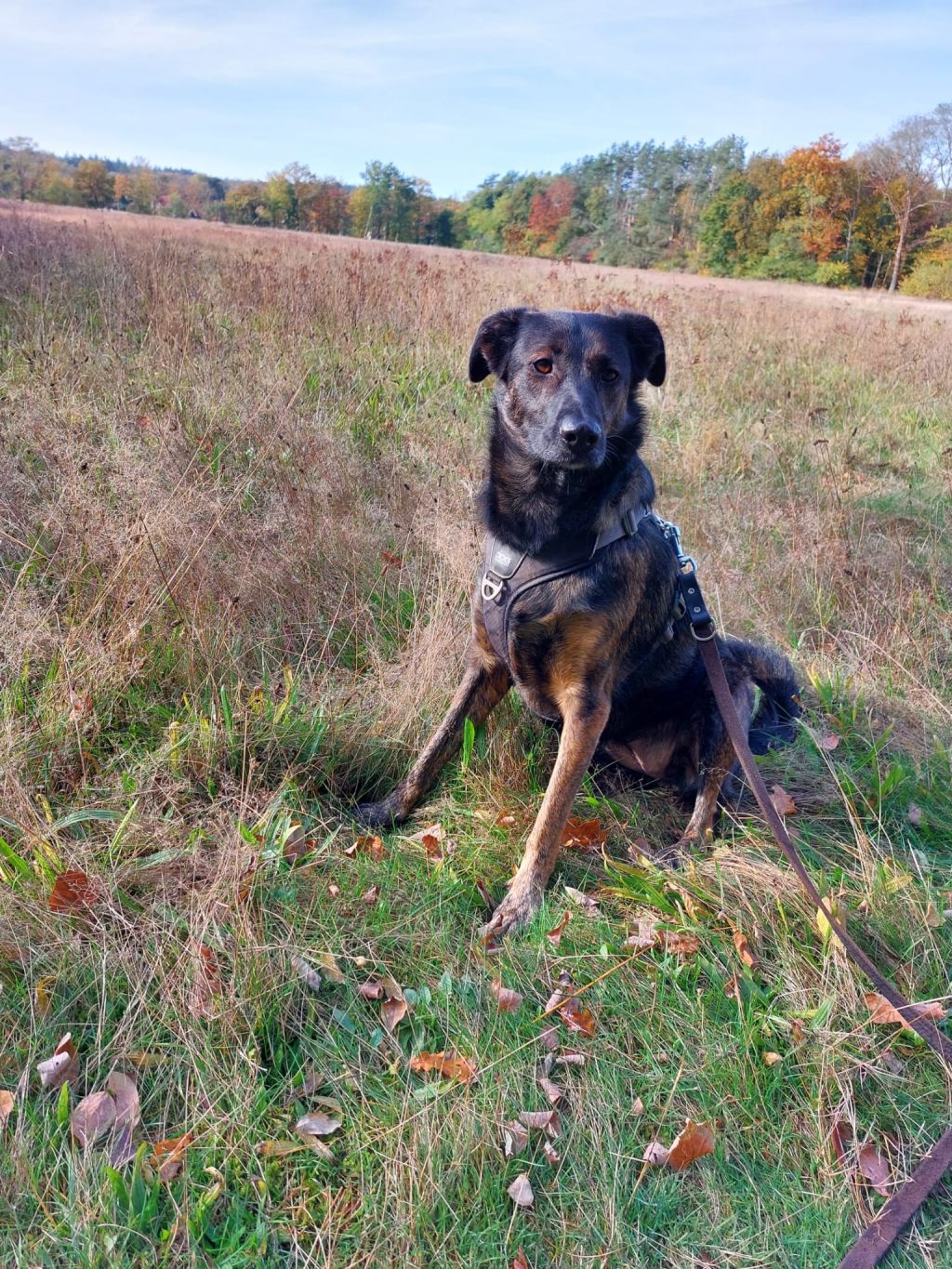 Nora