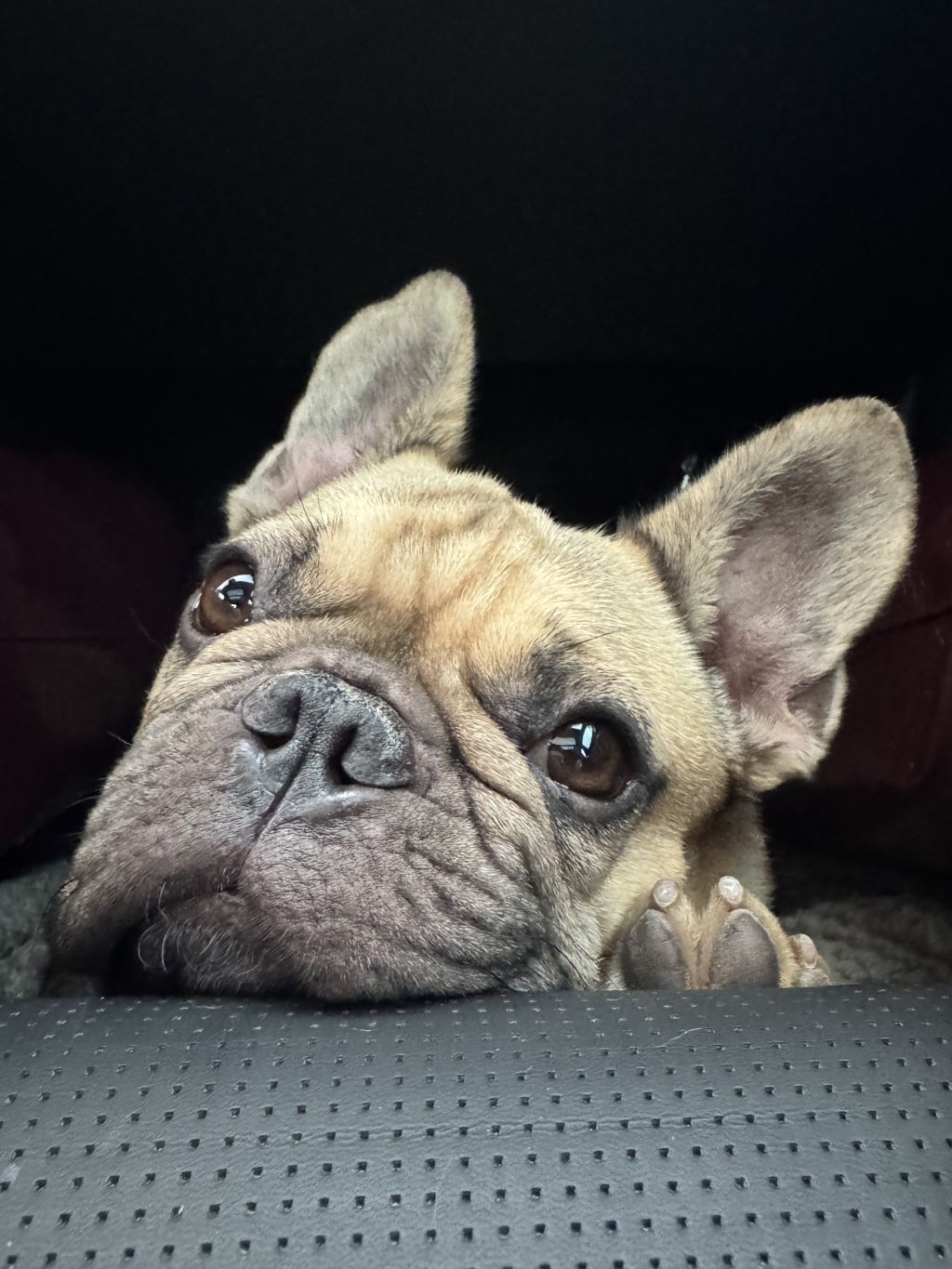 Harvey