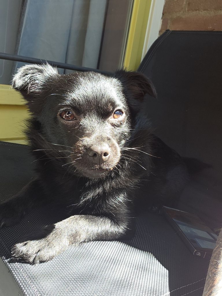 Mia en maya