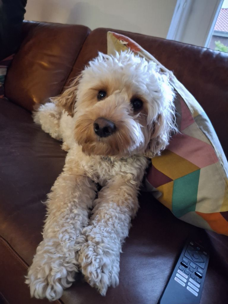 Charlie