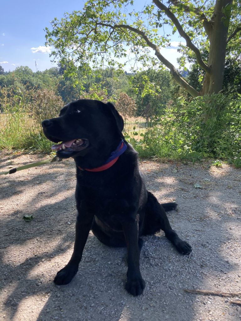 Charley