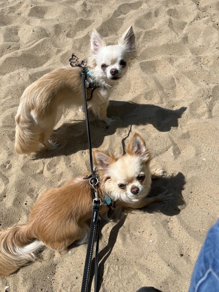 Ivy en Bailey