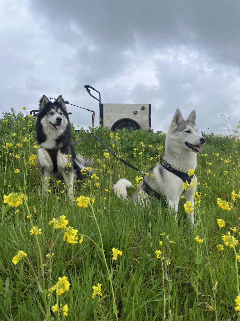 Finn en Joy