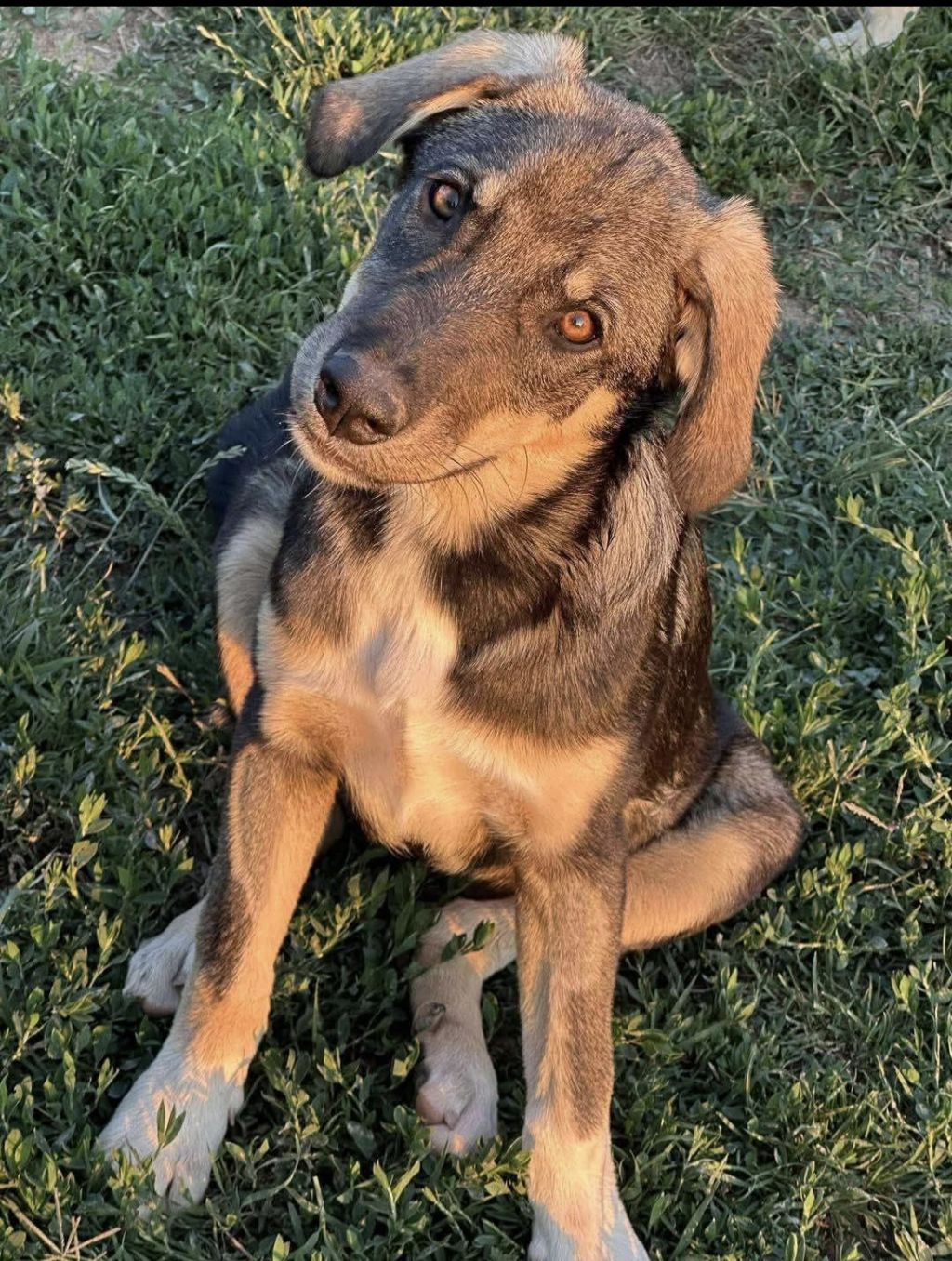 Jax