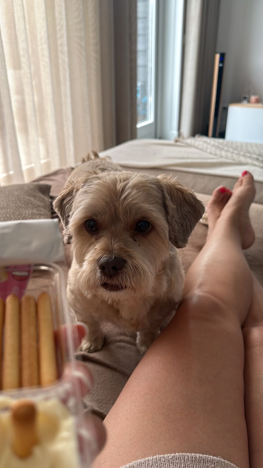 Sammy en mylo