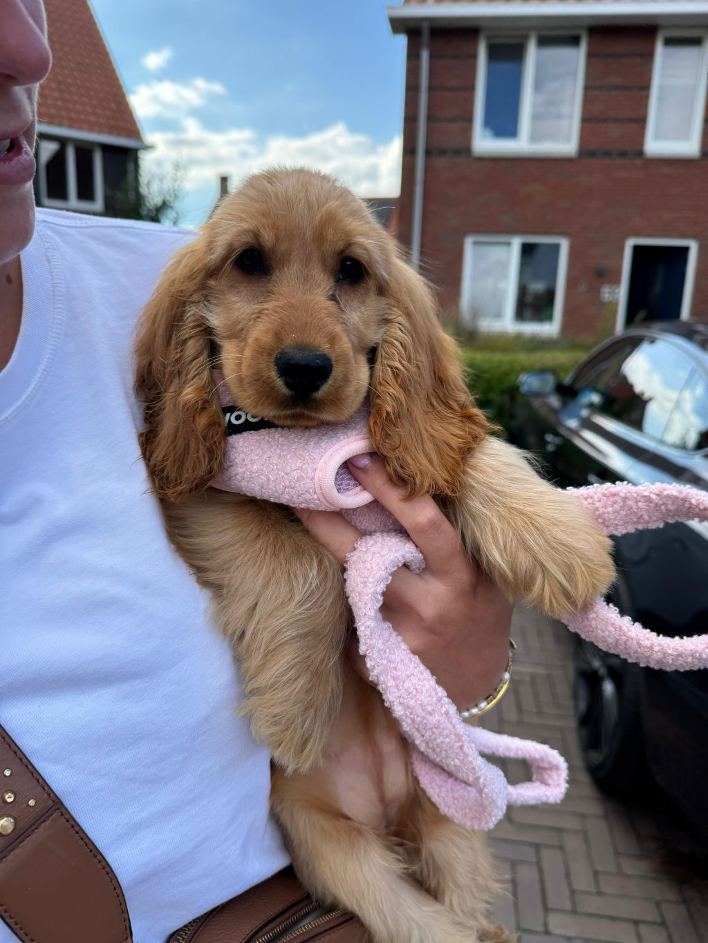 Bella
