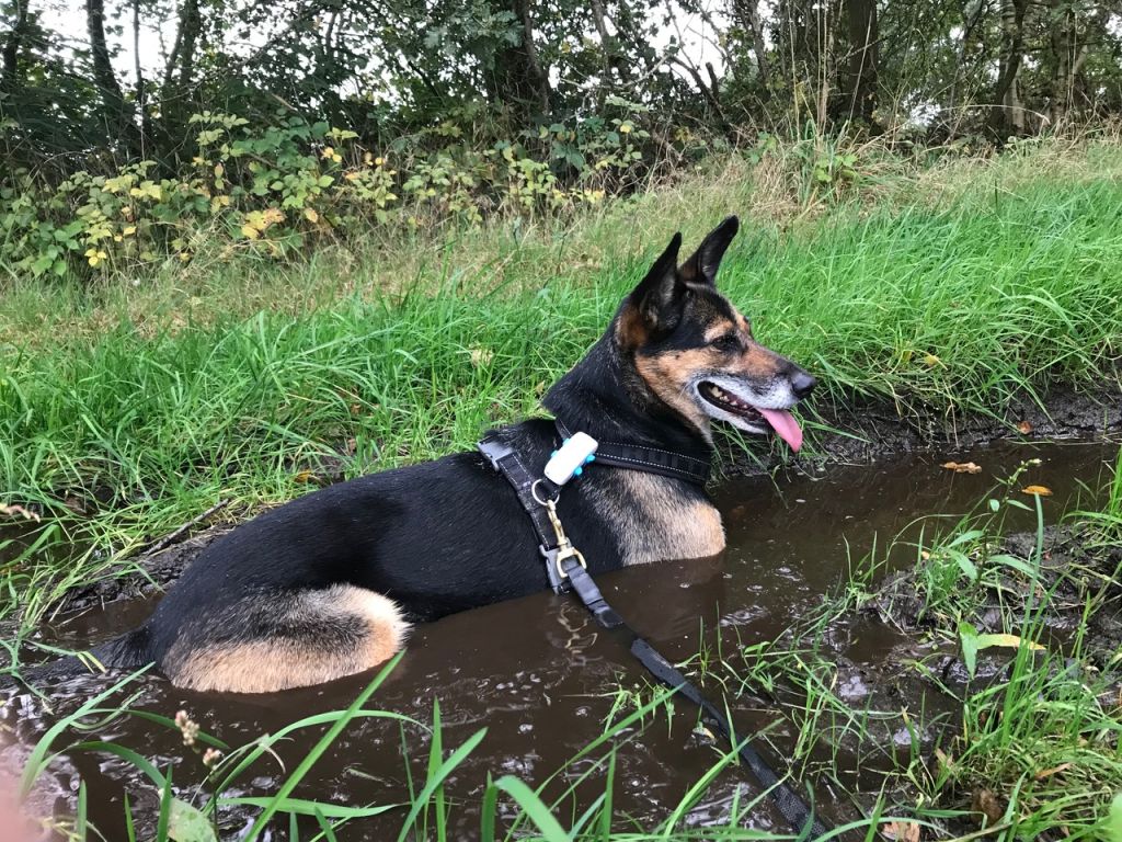 Nora