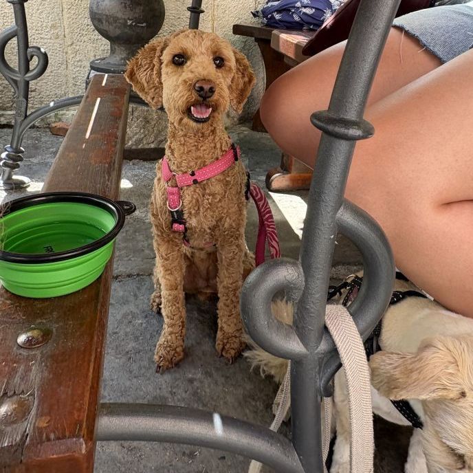 Lola