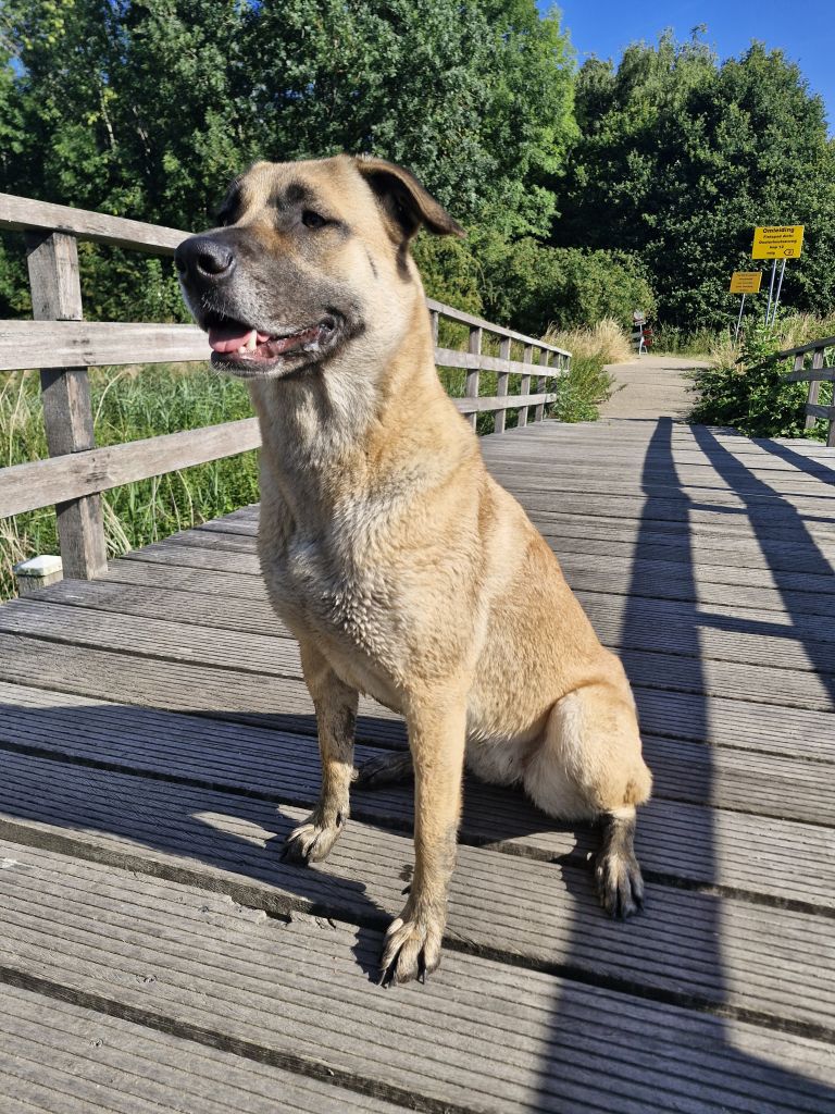 Snuitje