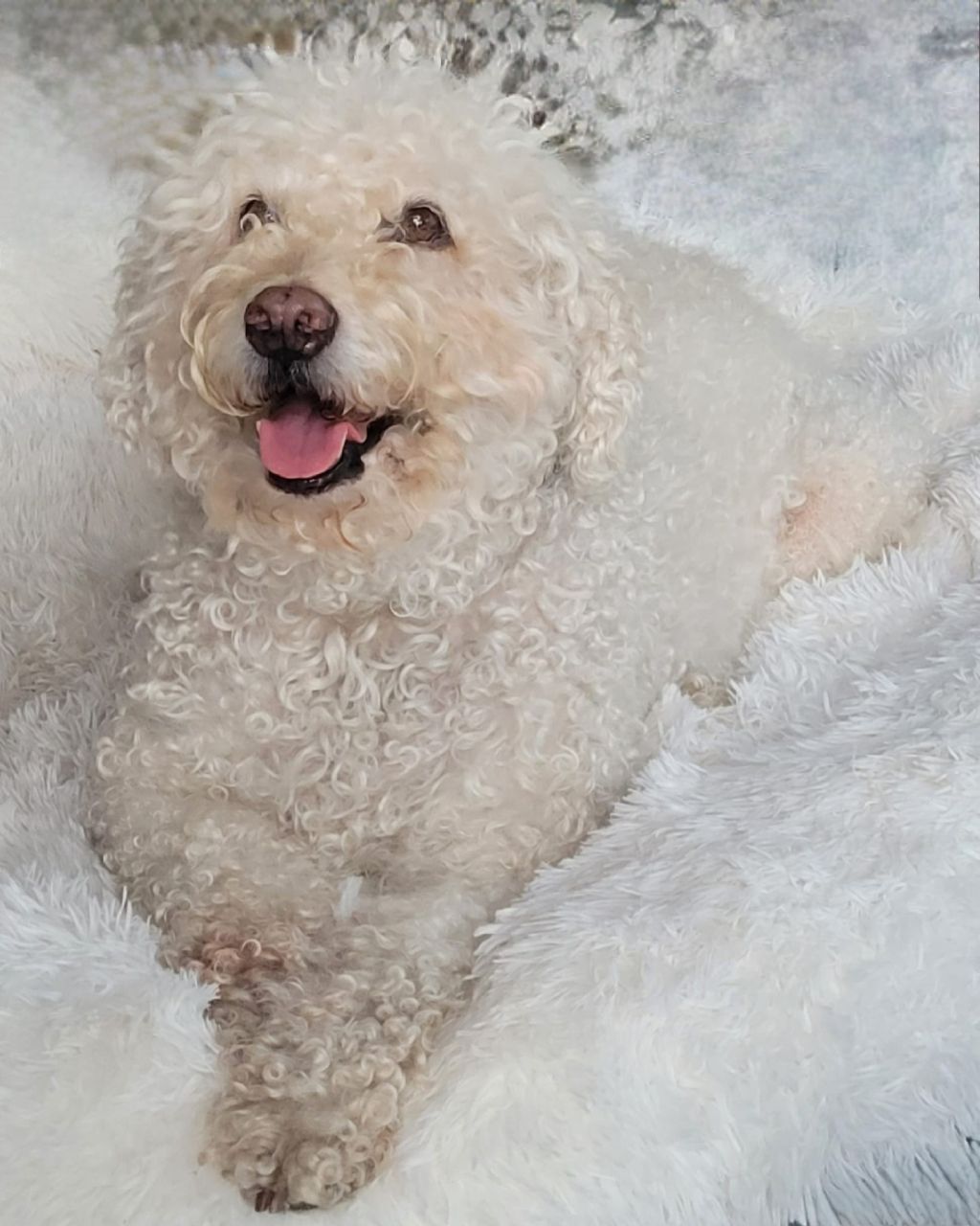 Loes 10 jaar en Roos 9. Jaar