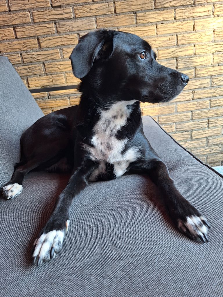 Nora