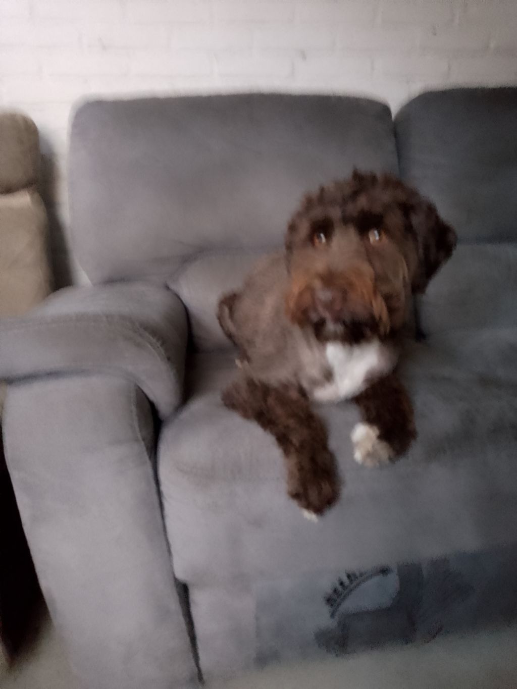 Lilu