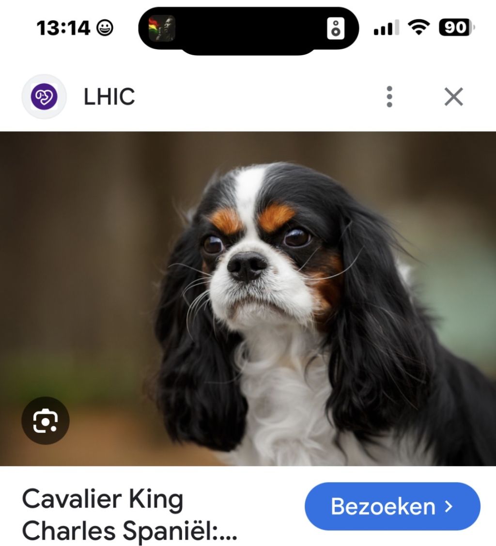 Nogmaals te schaffen.