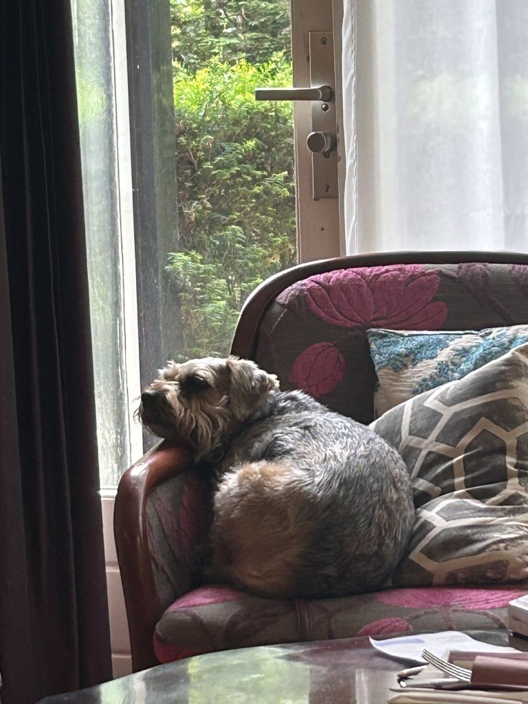 Bella