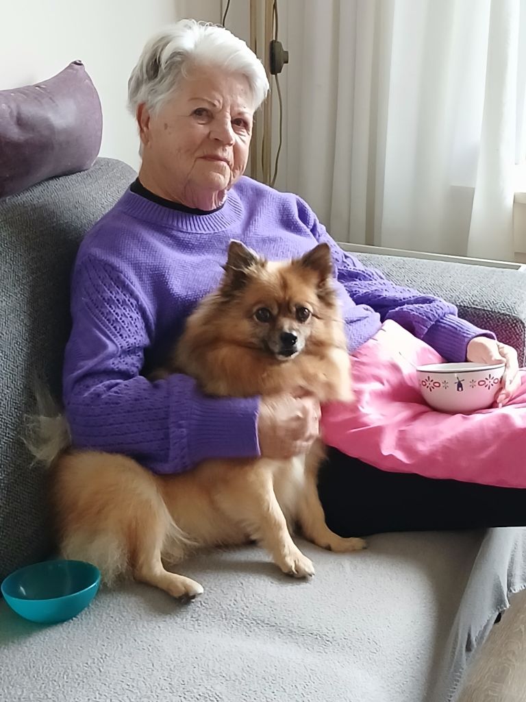 Lady