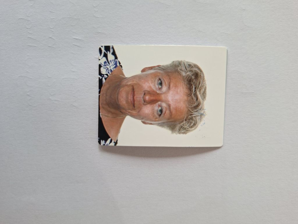 Piet