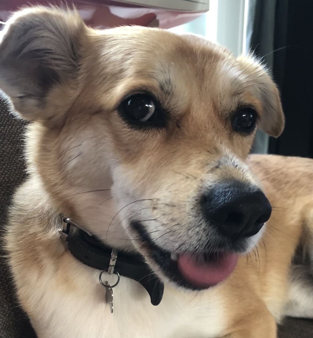 Paco
