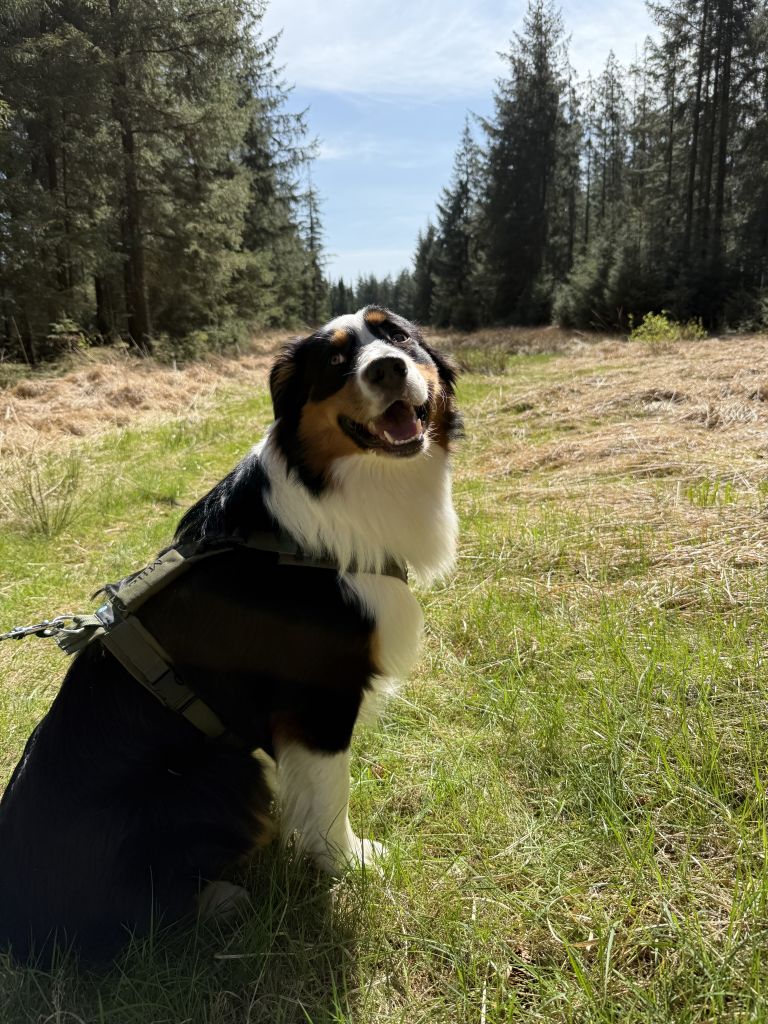 Milo