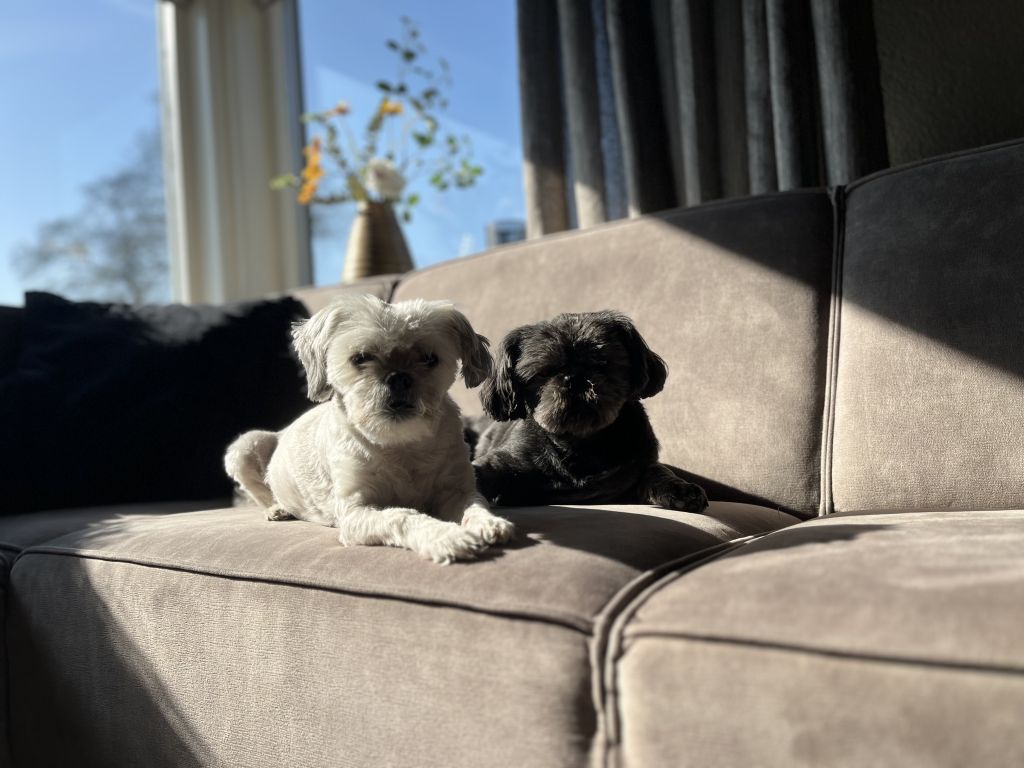 Dex en Max
