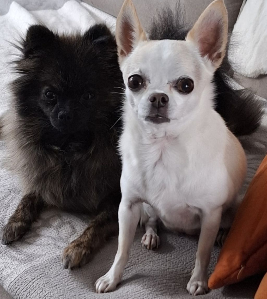 Pebbles&Lisa