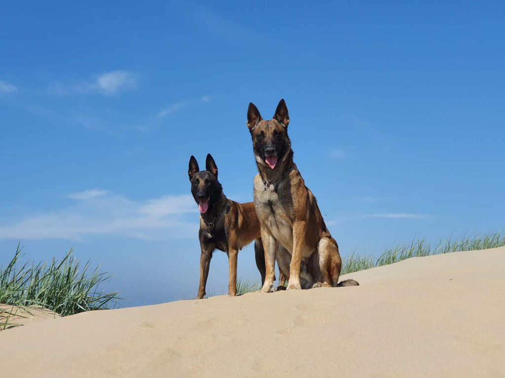 Duke en soof