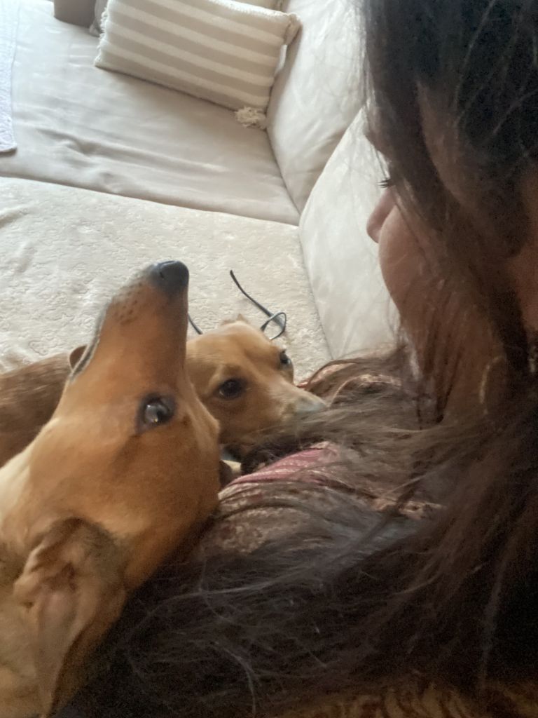 Bowie en Lexi