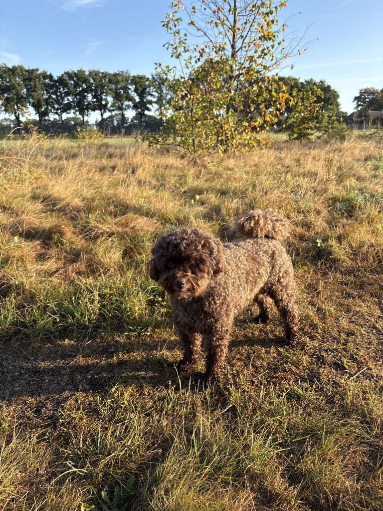 Milo