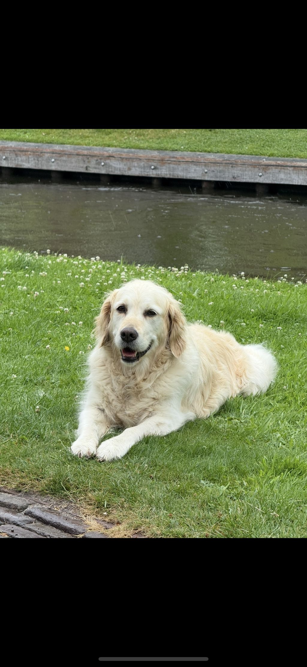 Sascha