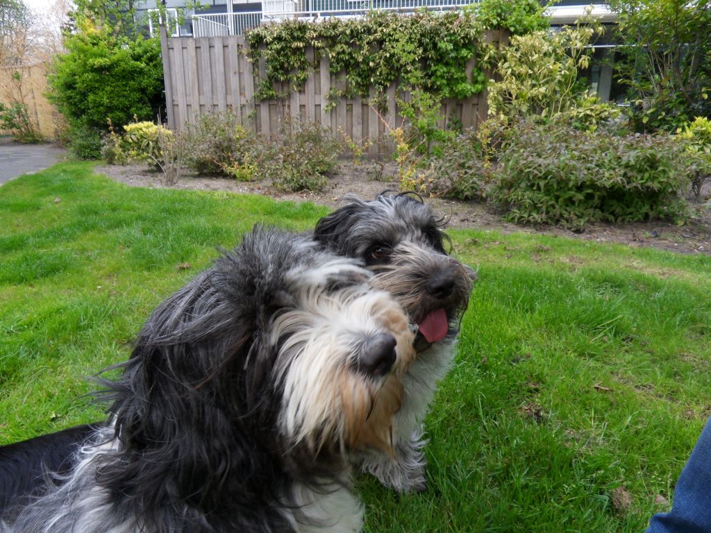Dobbe en Grietje