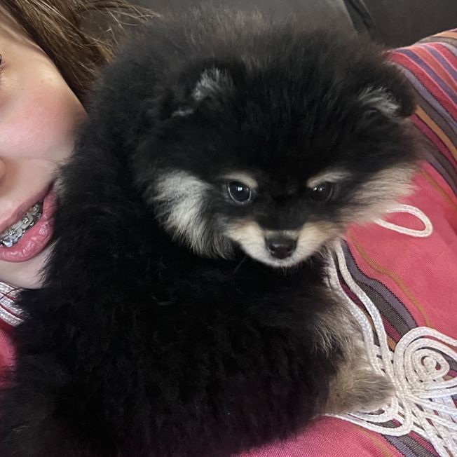 Lola