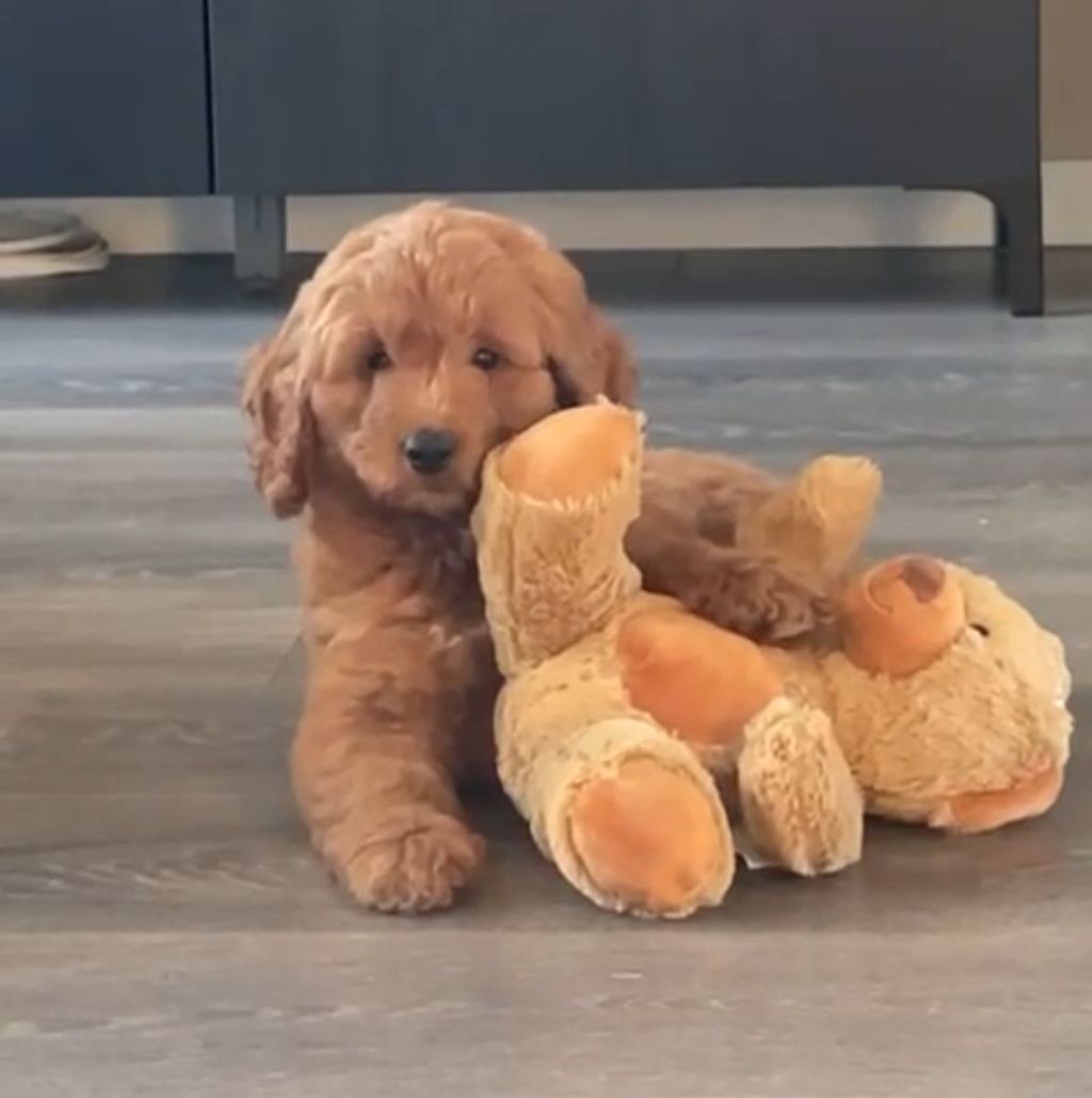 Charlie