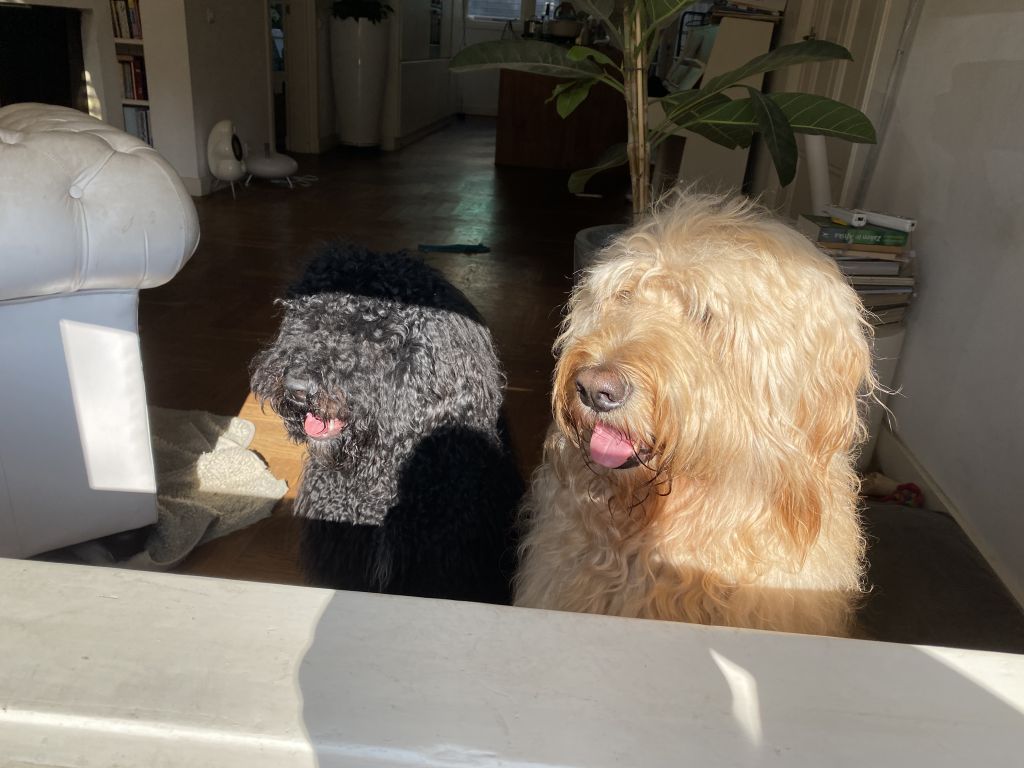 Hopper en Bender