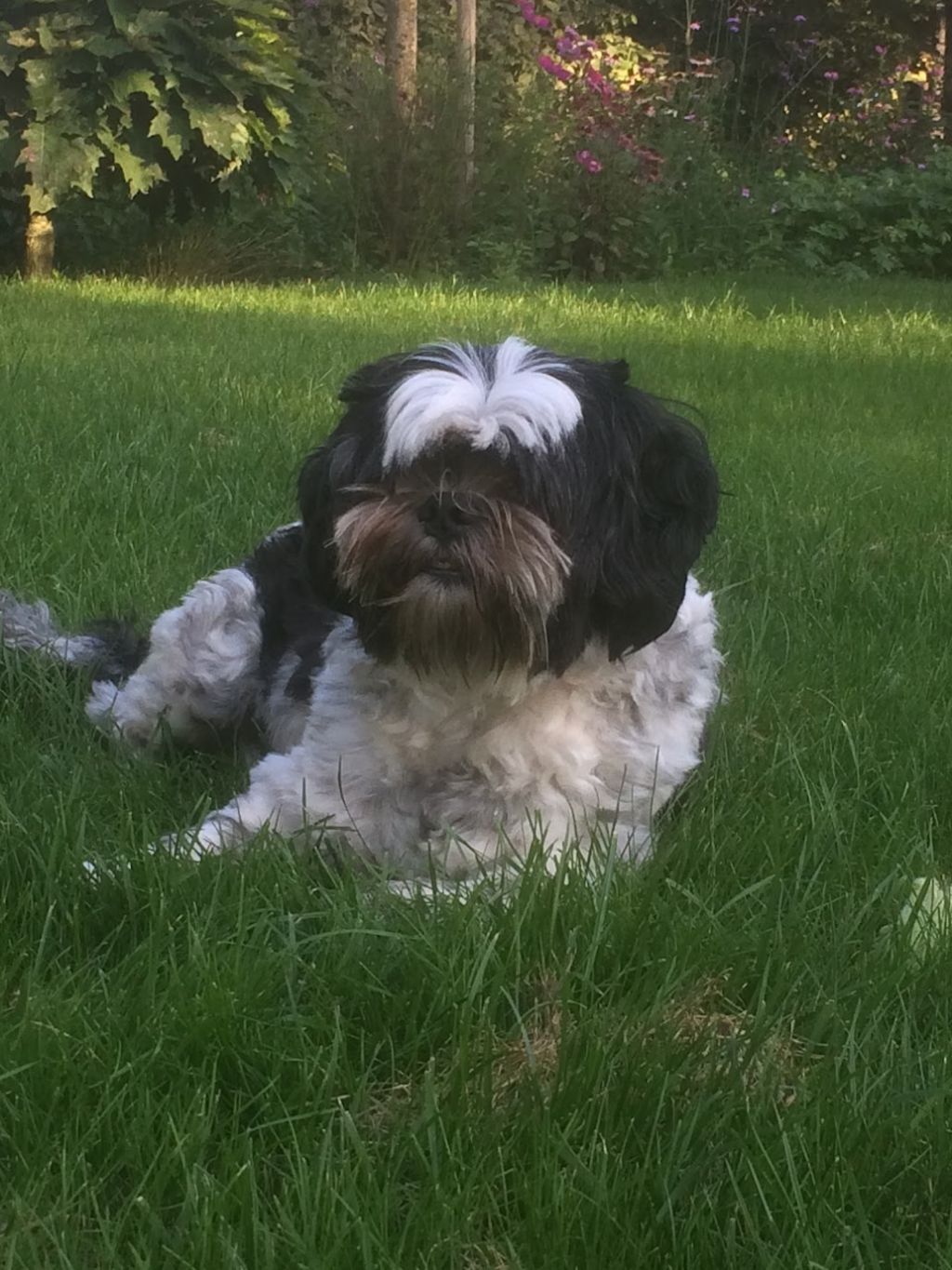 Charlie