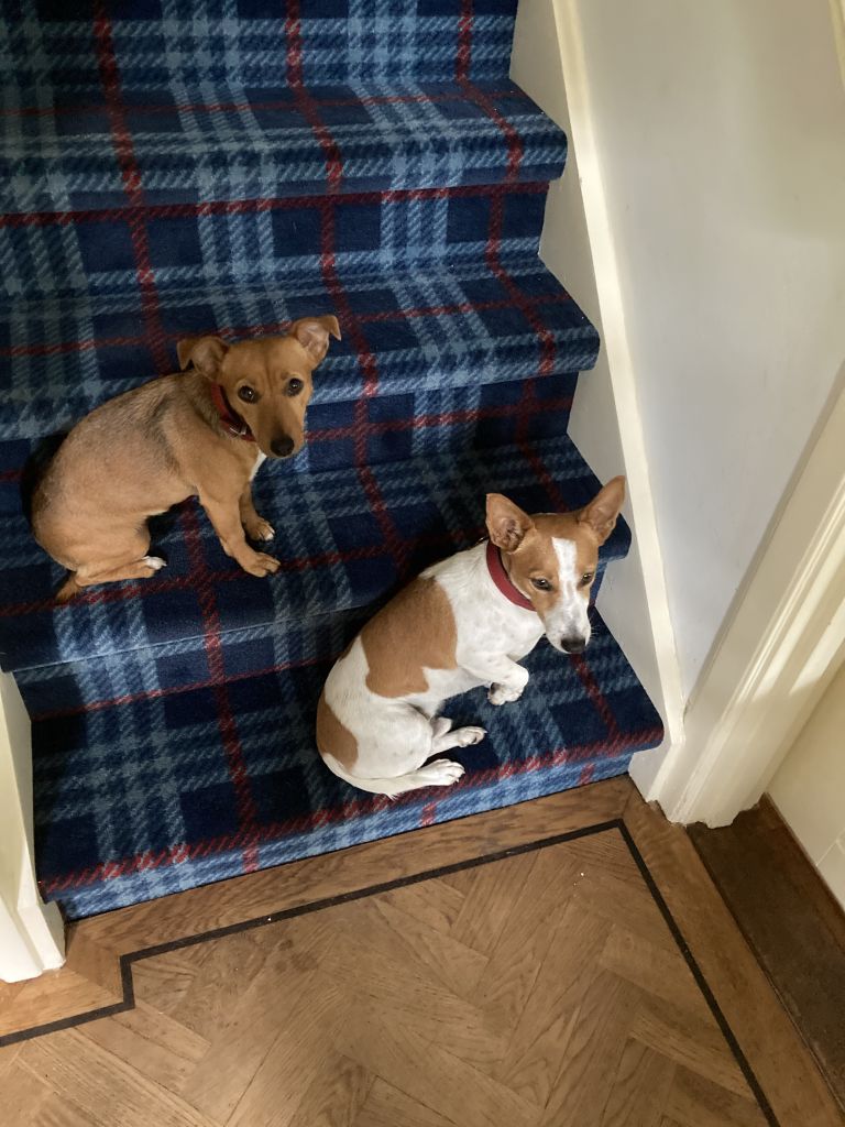 Emmet en dochter Toffee