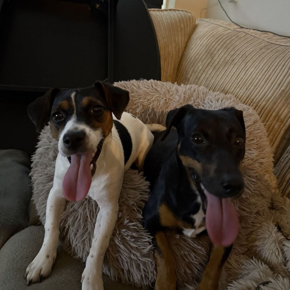 Roxy & Mila