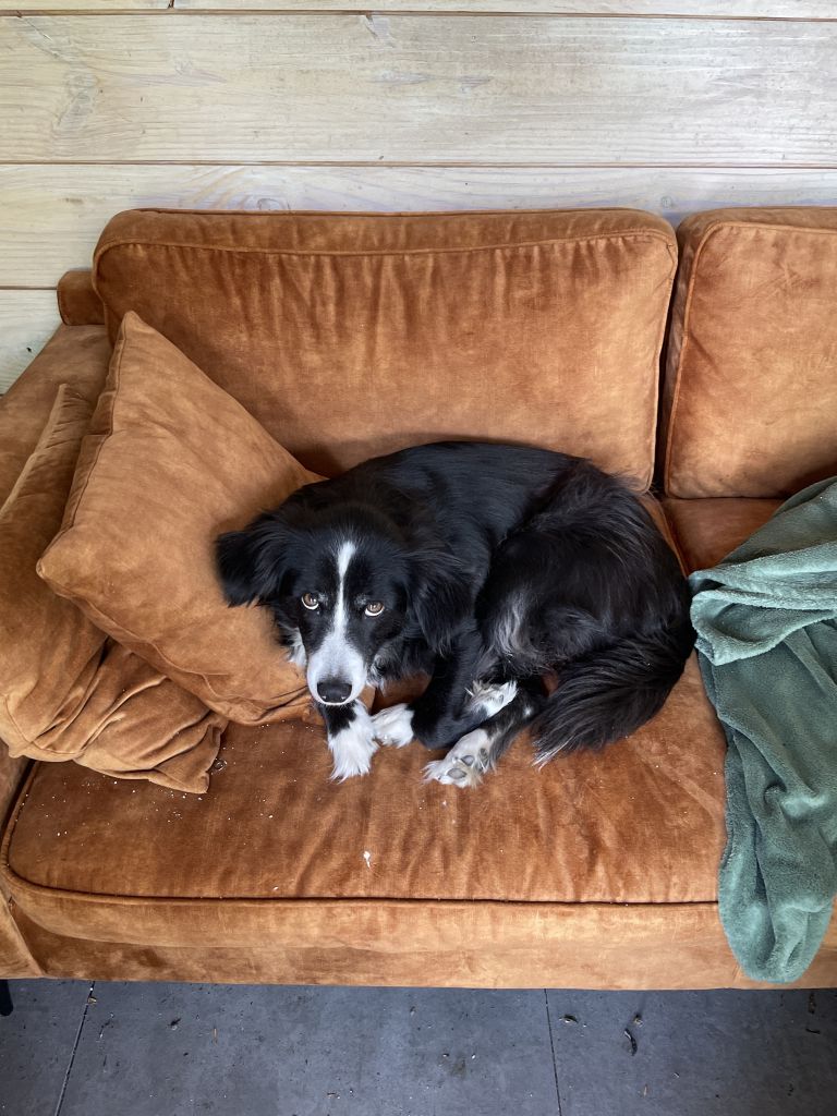 Bella en Mayla