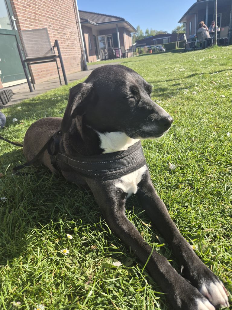 Luna