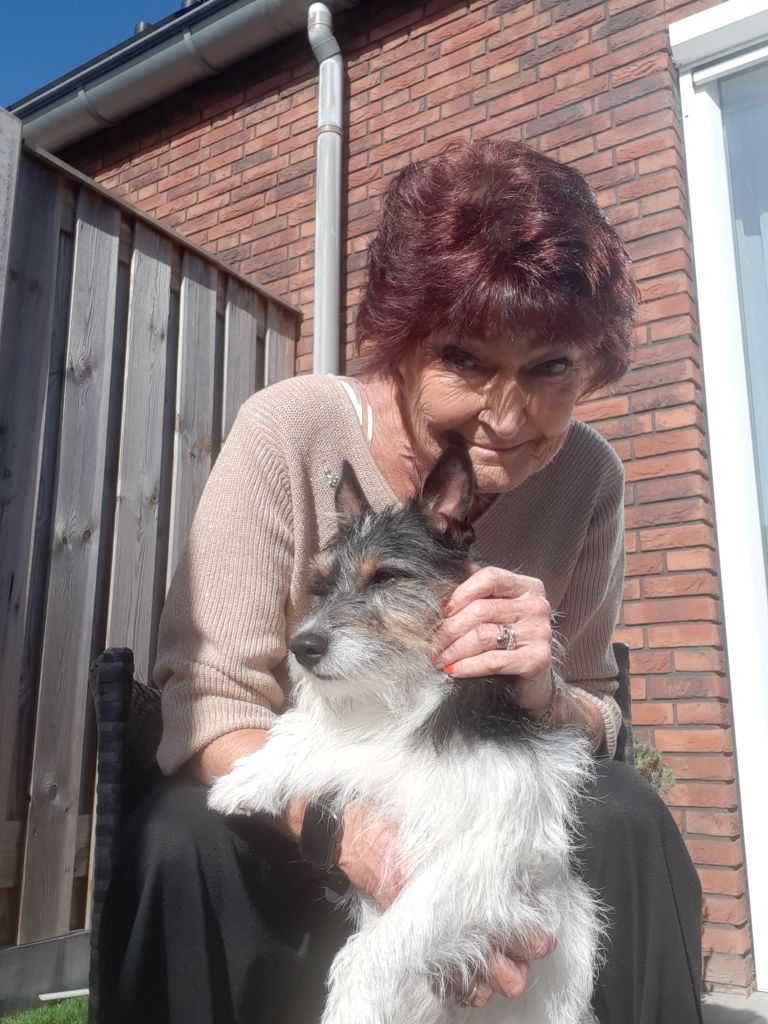Maja