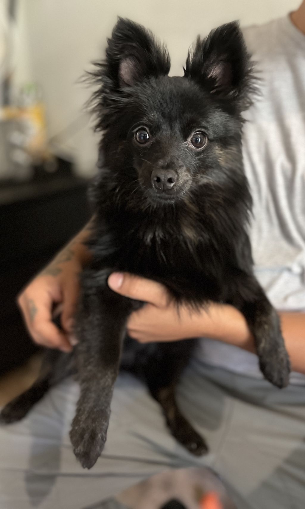 Kiki