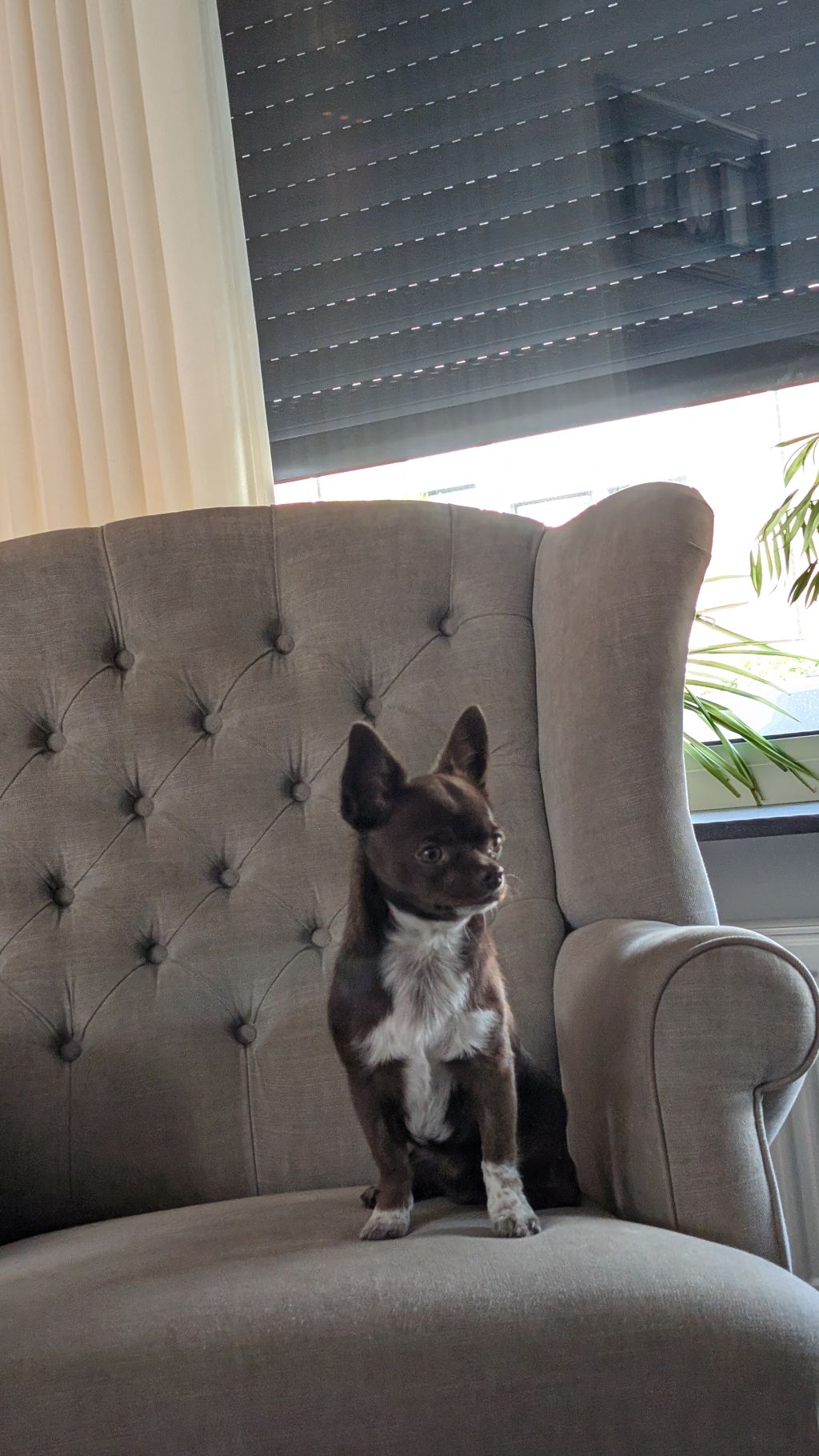 Spike