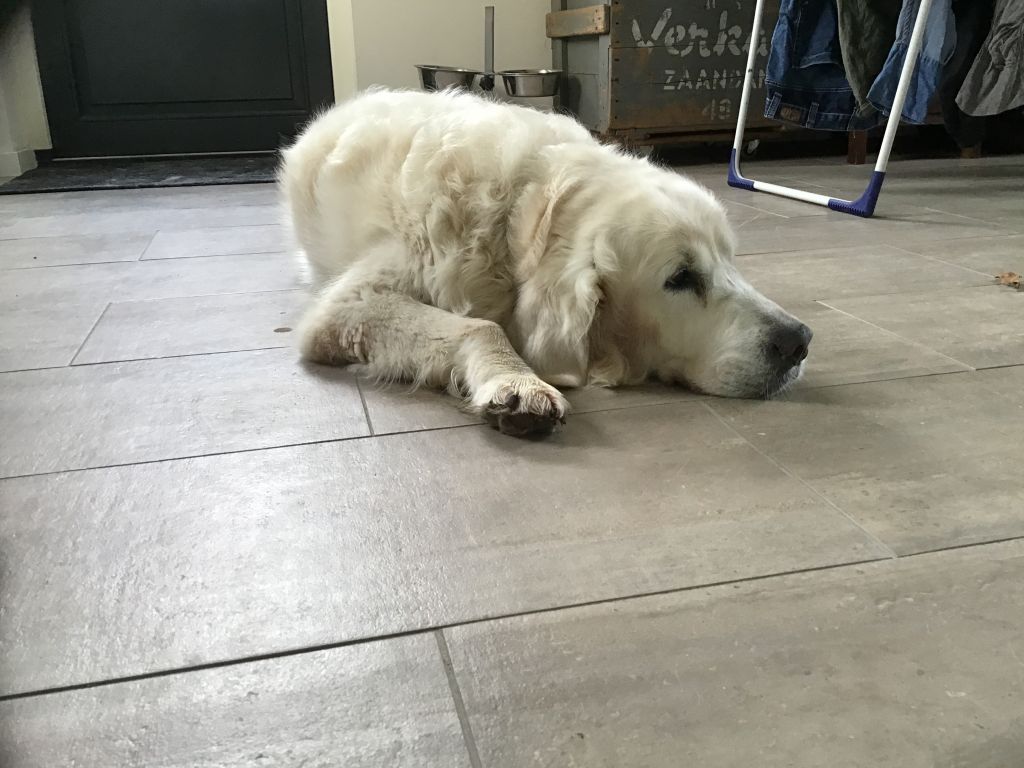 Ben