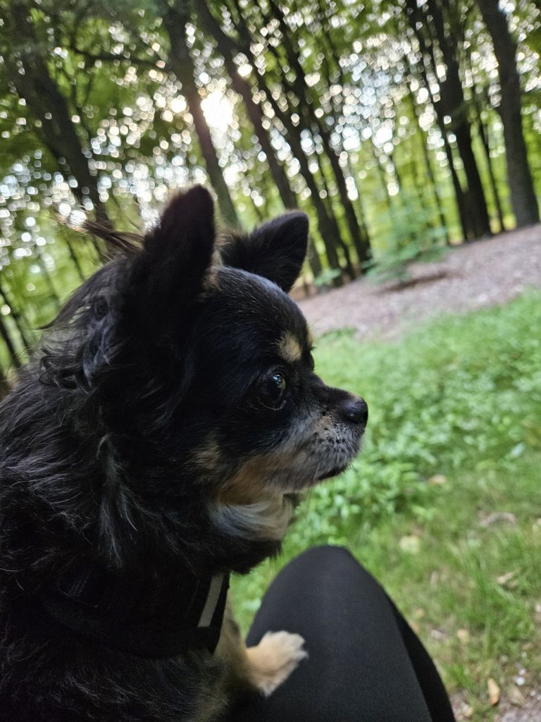 Monty