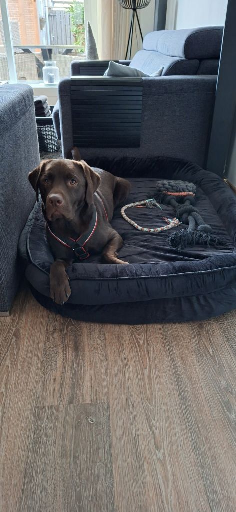 Max