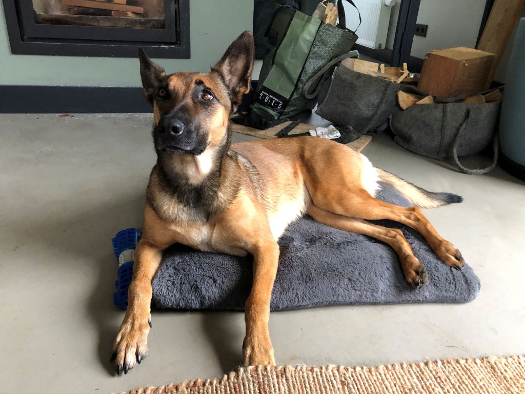 Kaya